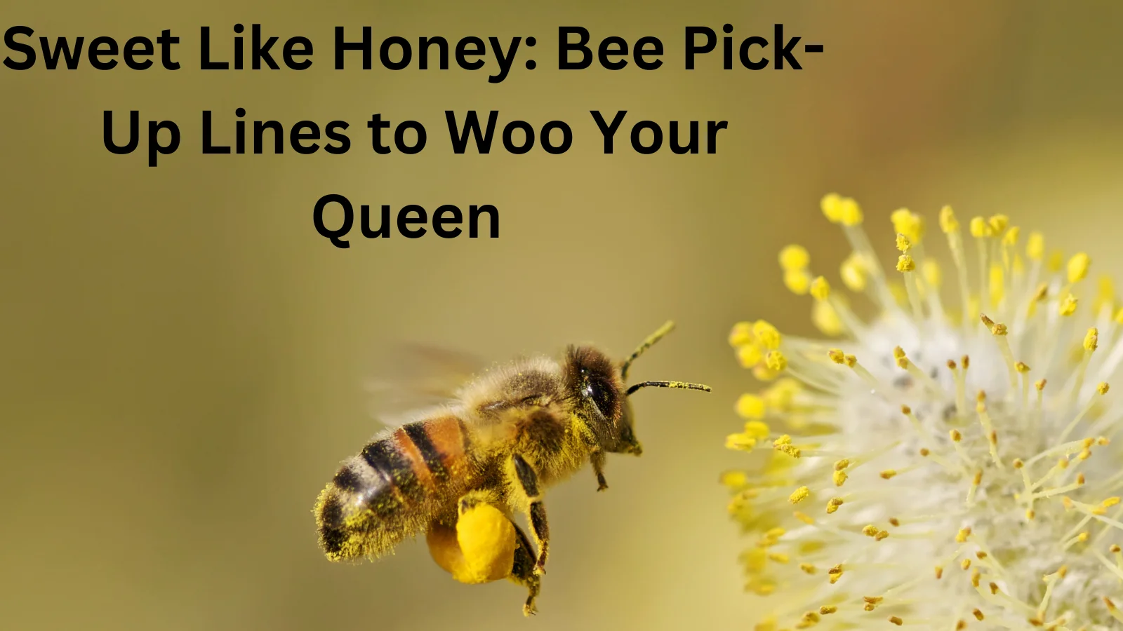 Bee Pick-Up Lines