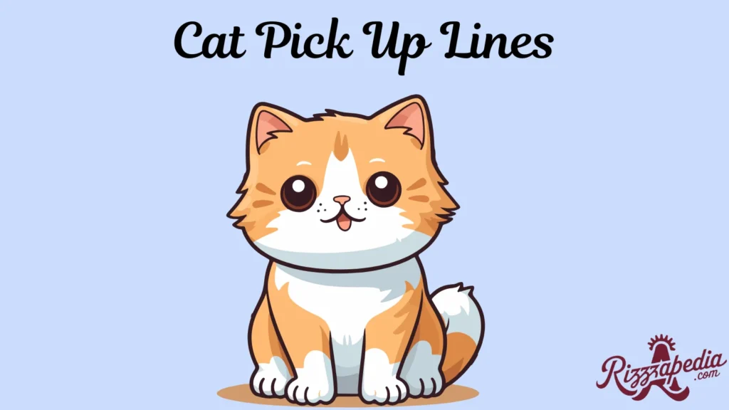 Cat Pick Up Lines