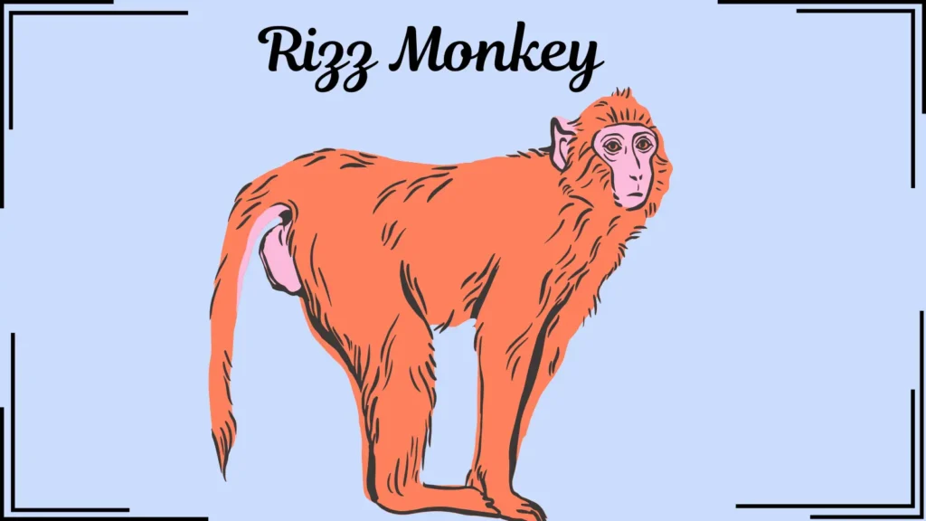 Rizz Monkey 