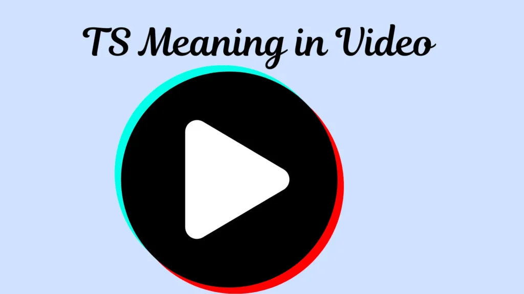 TS Meaning in Video