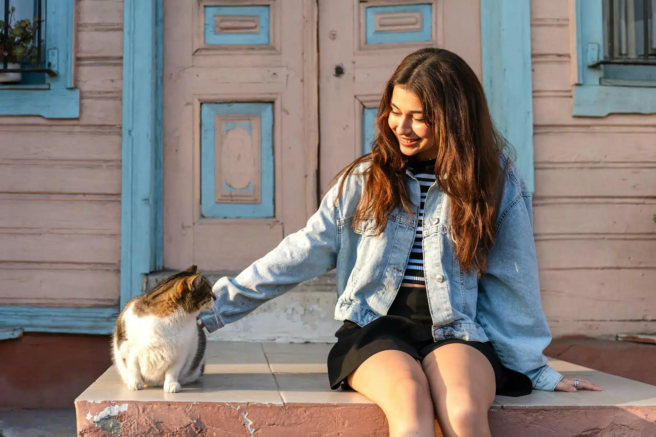 Year-Round Pet Health Essential Tips & Smart Tech for Your Cat