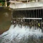 The Essential Guide to Preventing Blocked Drains in Sydney