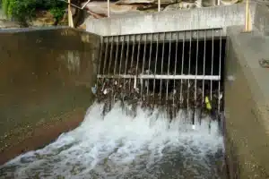 The Essential Guide to Preventing Blocked Drains in Sydney