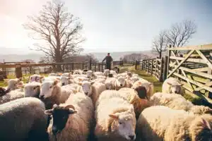 The Business of Growing: A Guide to Agricultural Entrepreneurship