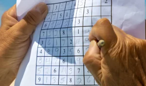 Beyond the Numbers Embark on Your Sudoku Quest Today