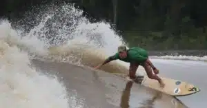 Surfing the Amazon Seller Support Waves Solving Challenges with Confidence