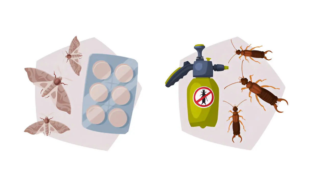 The Most Common Pest Control Myths Busted