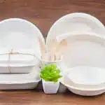 Sustainable Takeaway Containers: Innovation in Food Packaging