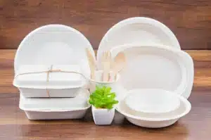 Sustainable Takeaway Containers: Innovation in Food Packaging
