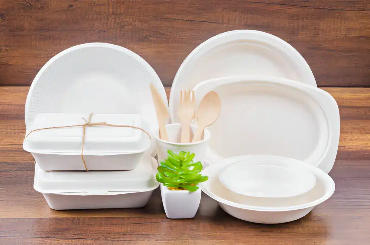 Sustainable Takeaway Containers: Innovation in Food Packaging