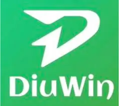 Troubleshooting Diuwin Login Issues: Common Fixes