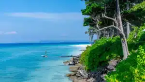 Everything You Should Know Before Planning a Vacation in Andaman