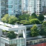 Creative Landscaping Ideas to Transform Your Outdoor Space
