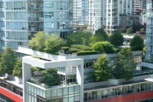 Creative Landscaping Ideas to Transform Your Outdoor Space