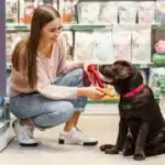 Pet Store Franchise vs. Independent Shop: Which Is Better?