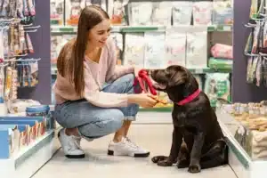 Pet Store Franchise vs. Independent Shop: Which Is Better?