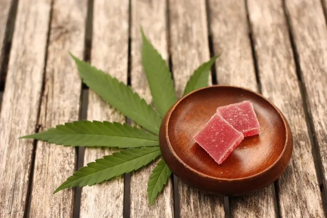 Cannabis Edibles How to Choose the Right Option for You