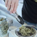 How Dispensaries Are Transforming the Way We Experience Cannabis