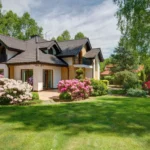 The Benefits of Native Plants in Your Landscaping Design