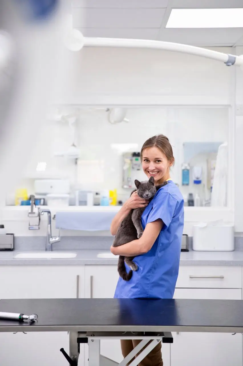 Pet CPR Training Course: Save Lives with Essential Pet First Aid Skills