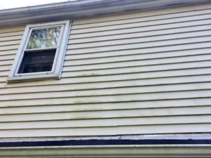 Warning Signs of Water Damage Behind Your Siding